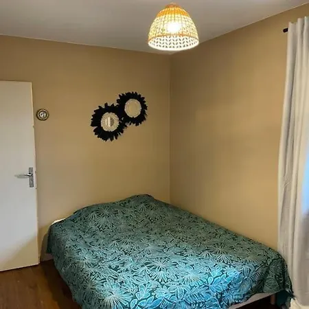 Chaleureux Dans Maison Avec Piscine A 35 Min De Lyon Apartment *